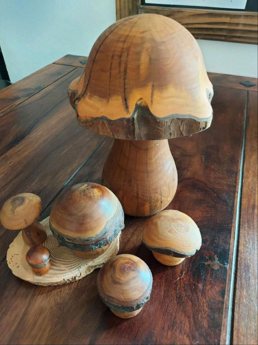 Magic Mushroom - 6er Set handgefertigte Holzpilze Deko